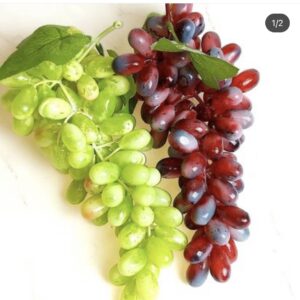 Simulation Grapes