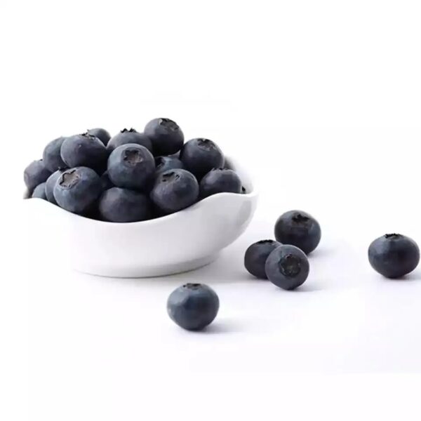 C0E4B81B-7169-445B-9EF6-4BCC919AC029