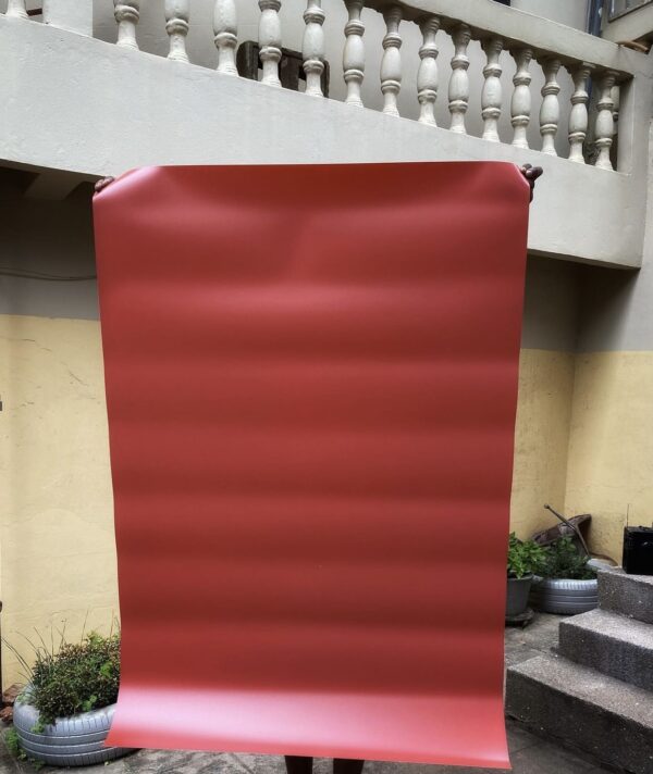 353035DC-D3BF-4374-BCD4-C64E61589D58